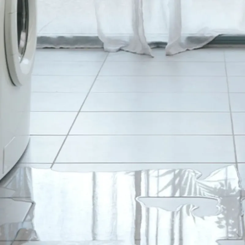 Appliance Leak Cleanup in Spring Mount, PA