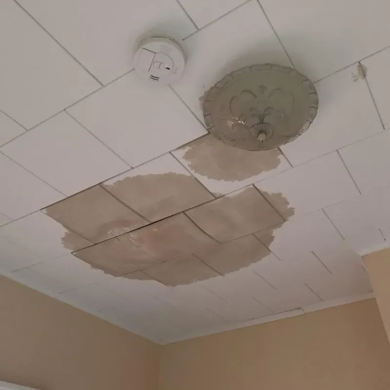 Ceiling Water Damage Repair in Spring Mount, PA