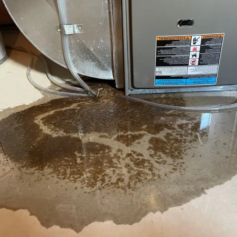 Pipe Burst and Leak Restoration in Spring Mount, PA