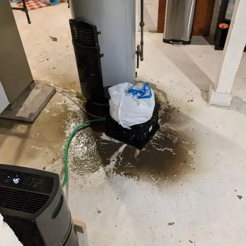 Sewage Backup Cleanup Service in Spring Mount, PA